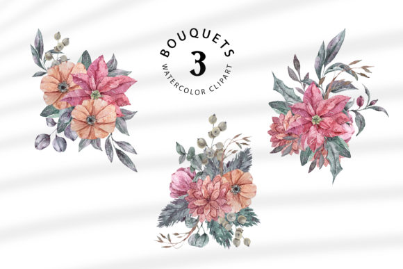 Christmas Poinsettia Bouquets Illustrations