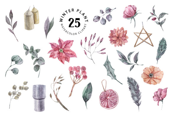 Christmas Watercolor Plants Clipart for Festive Illustrations